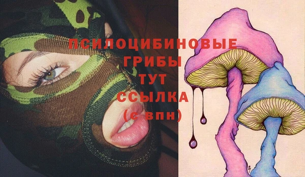 стафф Беломорск