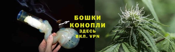 стаф Белоозёрский
