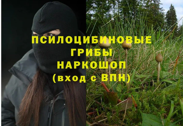 стафф Беломорск