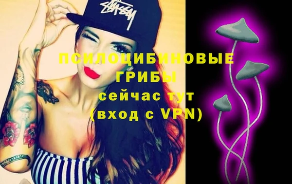 амфетамин Белокуриха