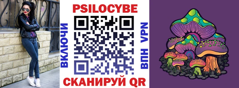 блэк спрут ссылка  Видное  Псилоцибиновые грибы мицелий 
